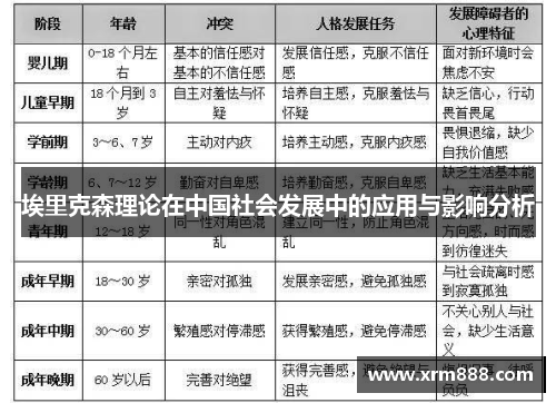 埃里克森理论在中国社会发展中的应用与影响分析